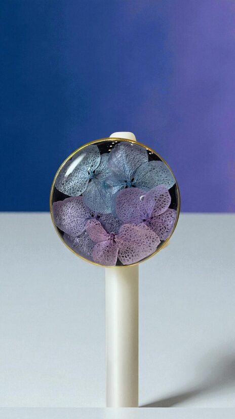 Gaiši zilo un roza hortenziju gredzens