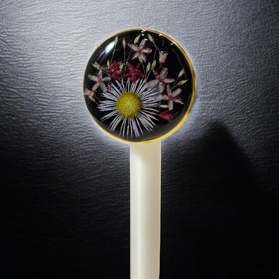 Melns gredzens ar "saulīti"